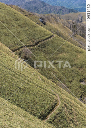 山路/ Rido方式 山路/ Rido方式 40931480