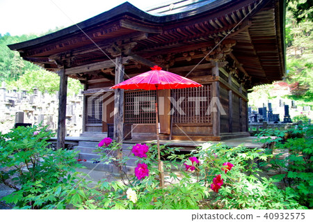 Peony Budon Temple Peony Budon Temple 40932575