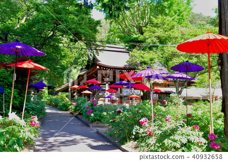牡丹布頓寺 牡丹布頓寺 40932658