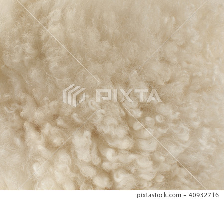 sheep wool, fragment, color and texture 40932716