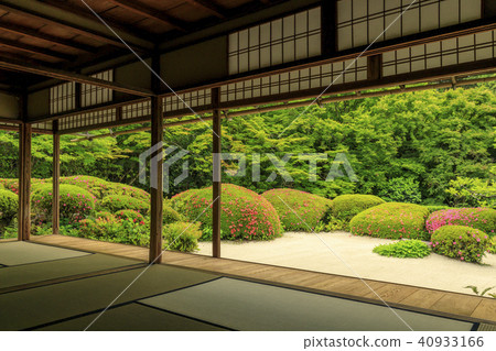 Fresh green and Satsuki of Shisen-do 40933166