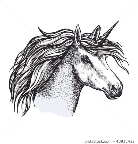Unicorn horse with horn sketch of magic animal Unicorn horse with horn sketch of magic animal 40933432