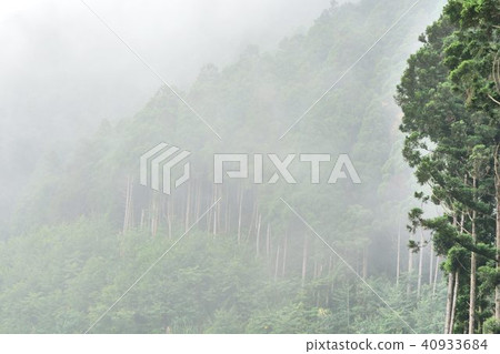 森林公路一個美麗的山森林。 森林公路一個美麗的山森林。 40933684