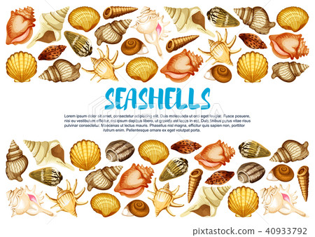 Seashell banner with marine mollusc shell border Seashell banner with marine mollusc shell border 40933792