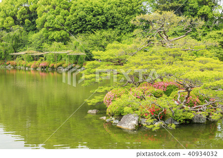 Heian Shrine Fresh green 40934032