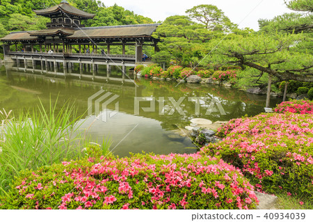 Heian Shrine Fresh green 40934039