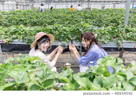 Ichigo狩獵形象女性的旅行裝置 40934592