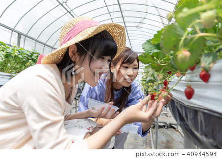 Ichigo狩獵形象女性的旅行裝置 40934593