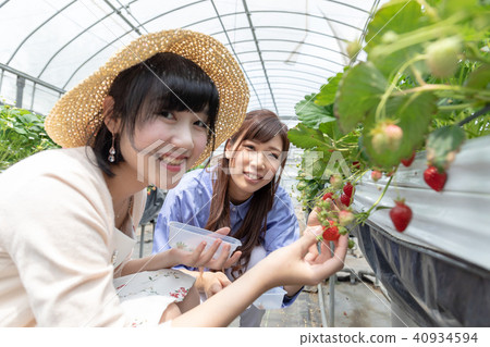 Ichigo狩獵形象女性的旅行裝置 40934594