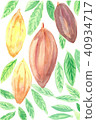 Cacao 40934717