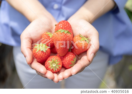 Ichigo hunting image Instant filming Women's journey 40935016