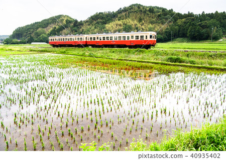 千葉kominato鐵路稻田風景 照片素材 圖片 圖庫