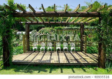 新鮮的綠色公園 40935516