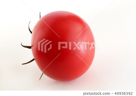 蕃茄 40936392