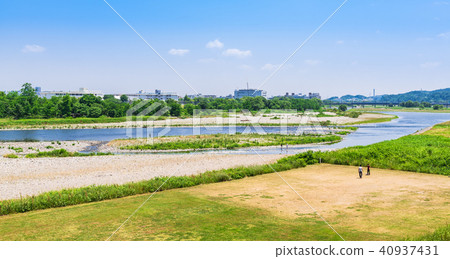 Spring Tamagawa Fuchu Near Yotsuya Bridge 40937431