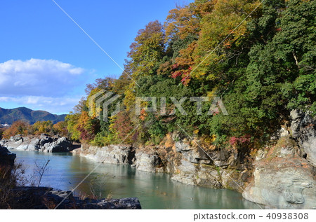 Nagatoro of autumn leaves 40938308