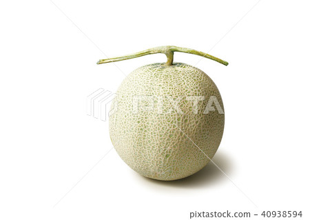 瓜 瓜 40938594
