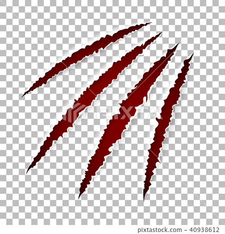 Scratch Claws of Animal 40938612