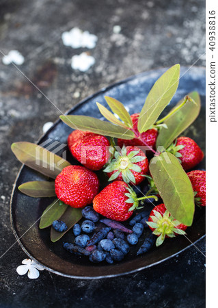 spring harvest in the garden on a plate spring harvest in the garden on a plate 40938816