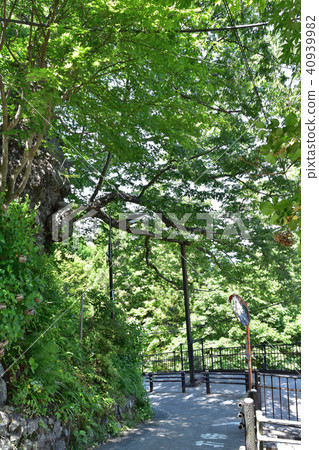 武藏Utrei神社進場的Zeshiki Zenkaku 武藏Utrei神社進場的Zeshiki Zenkaku 40939982
