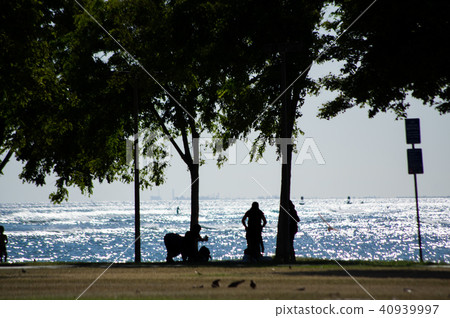 Waikiki 40939997