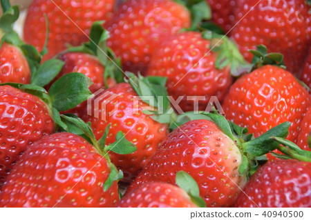 Luxury strawberries Luxury strawberries 40940500