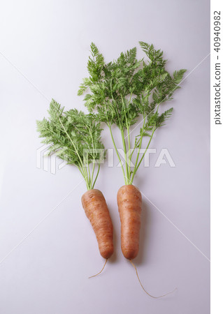 紅蘿蔔 40940982