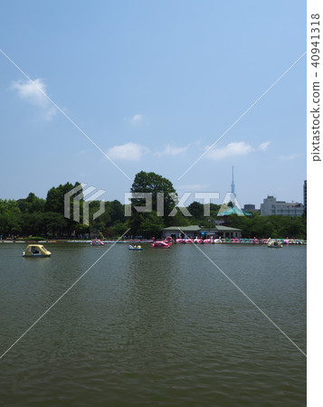 Ueno Shinobi Pond 40941318
