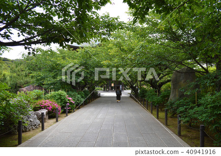 通往Kencho-ji山門的街道 通往Kencho-ji山門的街道 40941916