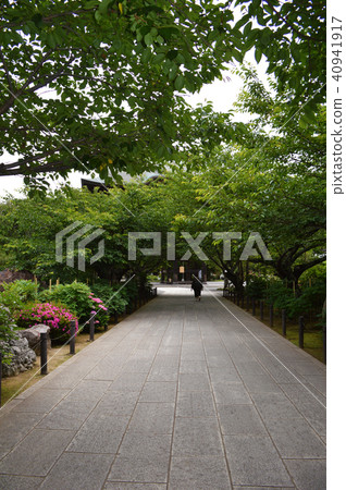 通往Kencho-ji山門的街道 通往Kencho-ji山門的街道 40941917