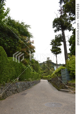 Kencho-ji背面的街道 Kencho-ji背面的街道 40941918