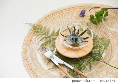 Erinjit表協調 40942175