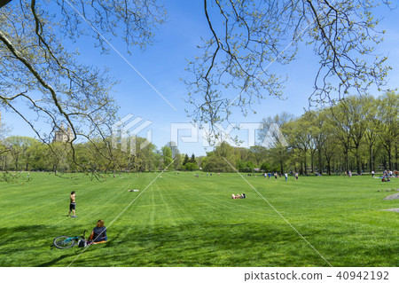 New York Central Park Siep Meadow New York Central Park Siep Meadow 40942192