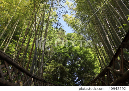 日立國際神社 40942292