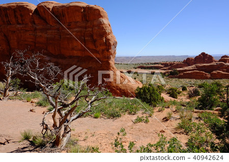 Debi Devils Garden Trail 40942624