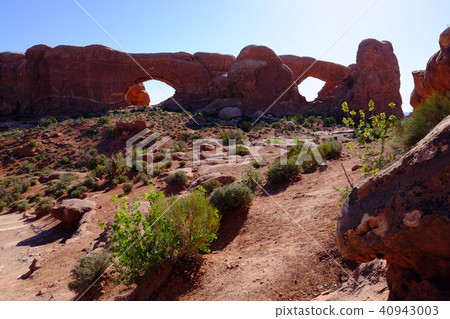 North Window and South Window North Window and South Window 40943003