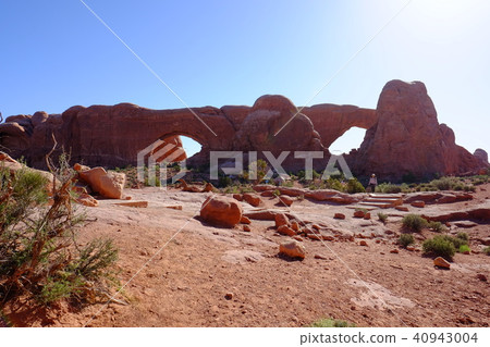 North Window and South Window 40943004