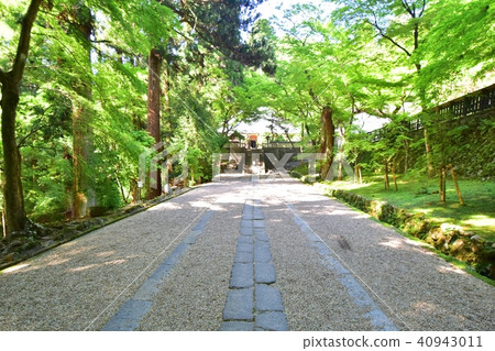 Kosekiji Kosekiji 40943011