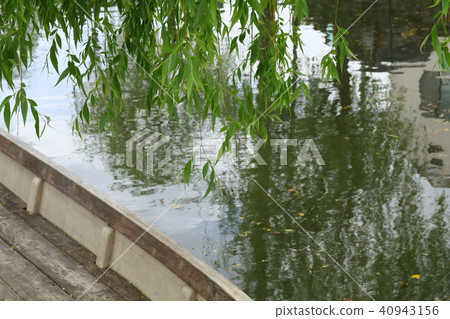 Boat and Willow 40943156