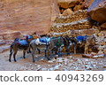 Colorful donkey near ancient tomb in Petra 40943269