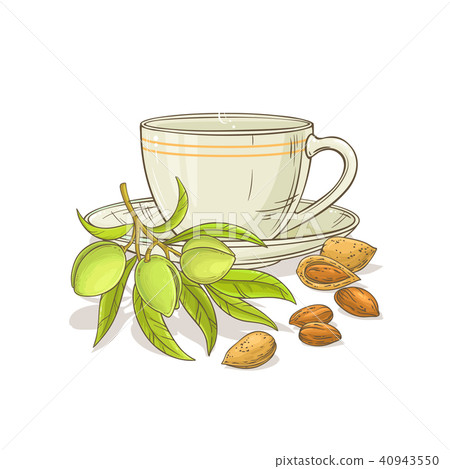 almond tea illustration 40943550