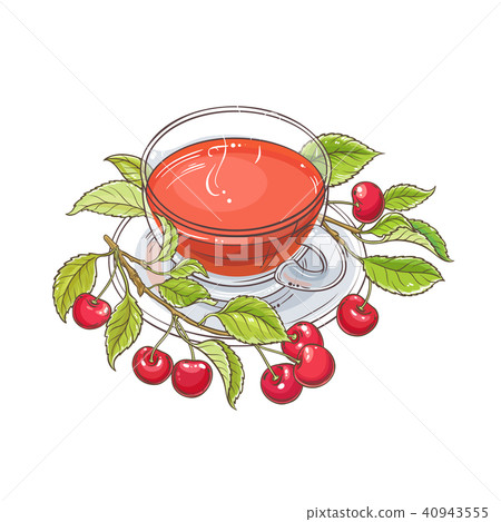 cherry tea illustration 40943555
