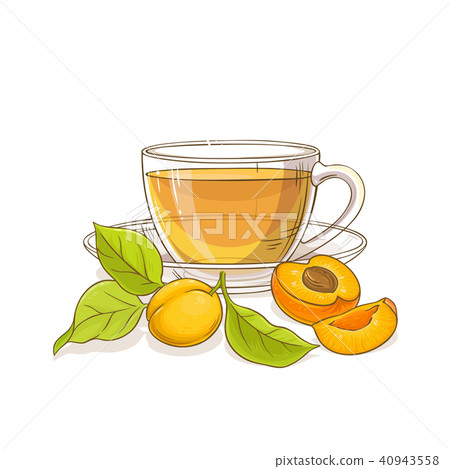 apricot tea illustration 40943558