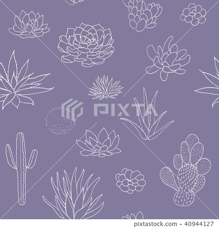 Succulent seamless pattern, hand drawn vector illustration. outline sketch chalk style Succulent seamless pattern, hand drawn vector illustration. outline sketch chalk style 40944127