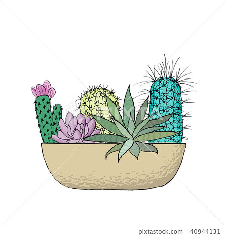Succulent cactus collection in a ceramic pot. Agave, aloe, Saguaro, haworthia, Pachyphytum, prickly Succulent cactus collection in a ceramic pot. Agave, aloe, Saguaro, haworthia, Pachyphytum, prickly 40944131