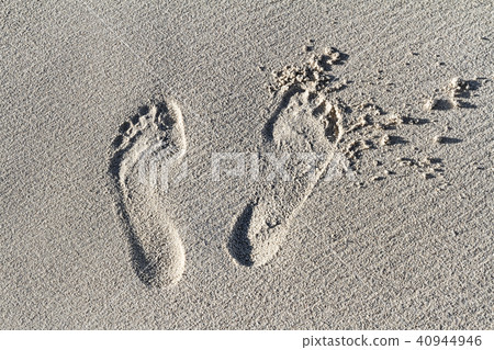 Feminine Foot Prints On The Sand At The Beach 40944946