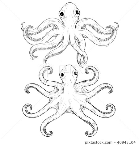 Octopus. Hand drawn sketch 40945104