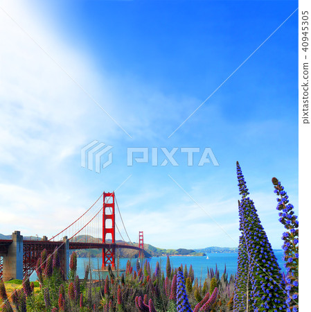 Famous red suspension Golden Gate Bridge in San Fr 40945305