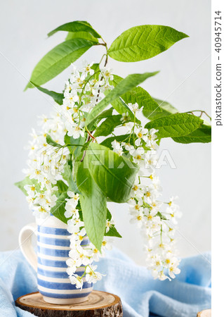 blooming tree branches in blue ceramic pot blooming tree branches in blue ceramic pot 40945714