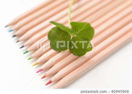 四葉三葉草 40945908